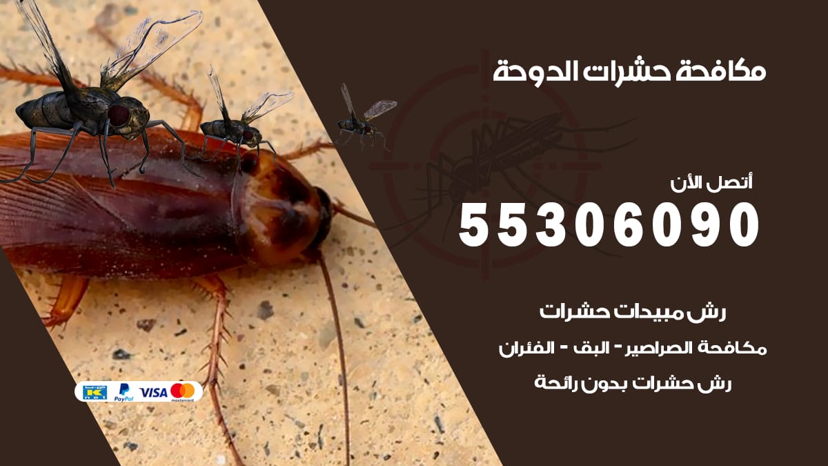 مكافحة حشرات الدوحة 55306090 شركة مكافحة حشرات الدوحة